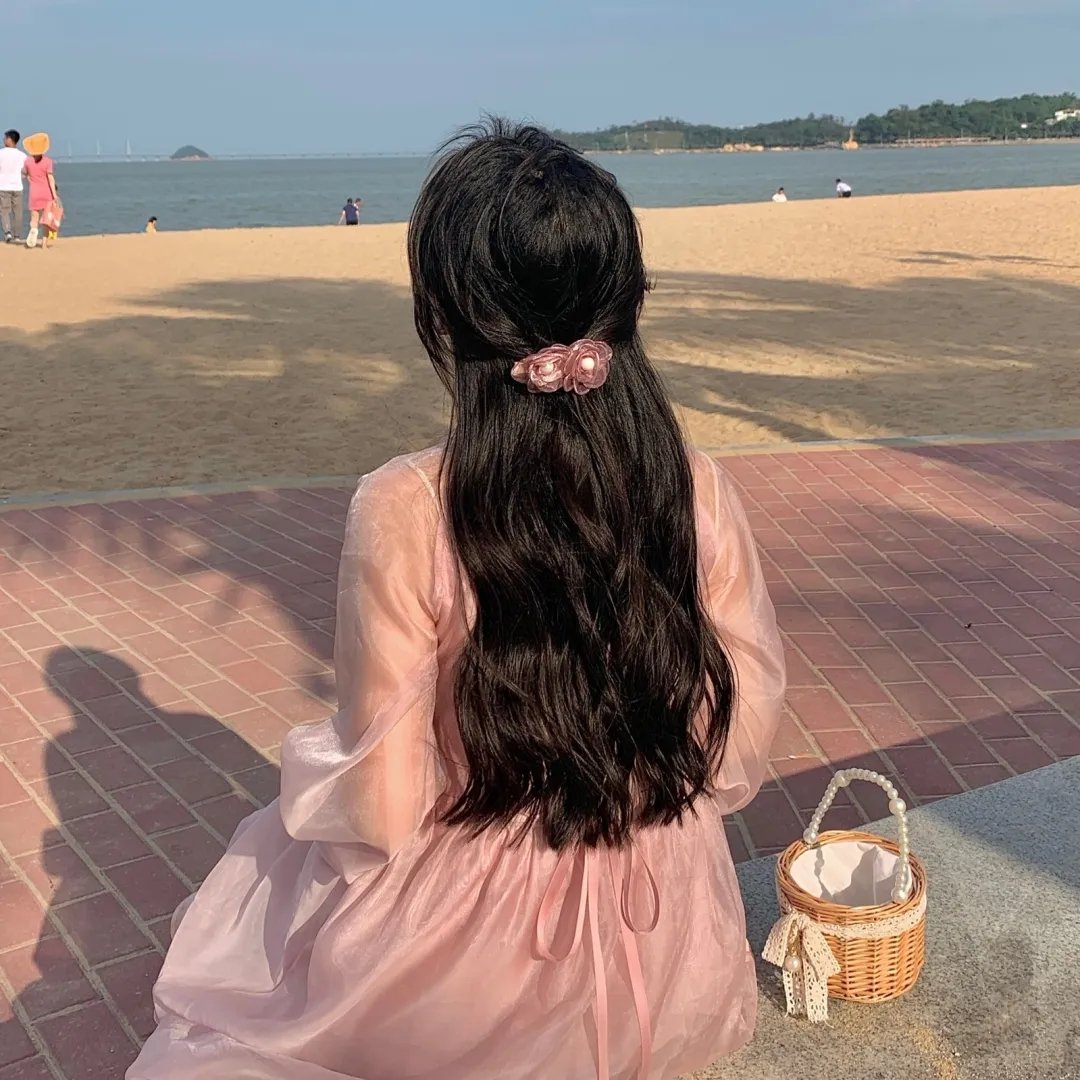 黑之契约者2:流星的双子