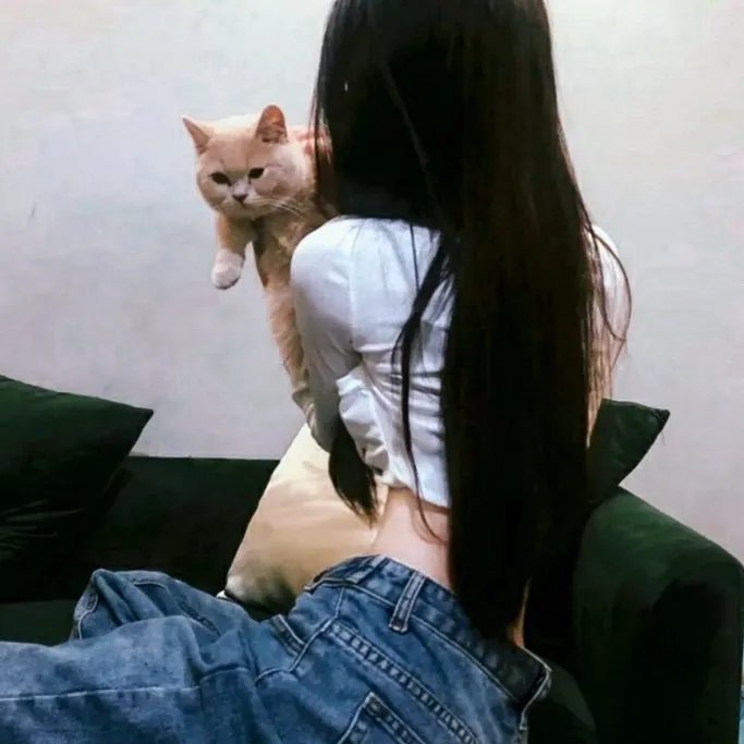 老虎与妙贼